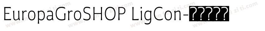 EuropaGroSHOP LigCon字体转换